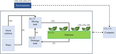 Forecasting Root-Zone Electrical Conductivity of Nutrient Solutions in Closed-Loop <mark class="highlighted">Soilless</mark> Cultures via a Recurrent Neural Network Using Environmental and Cultivation Information